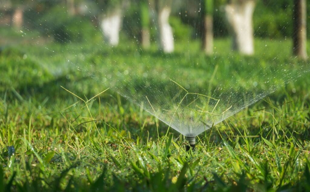 Irrigation... April 14, 2025 light dawn field summer
