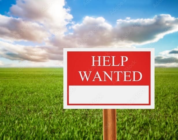 HELP WANTED