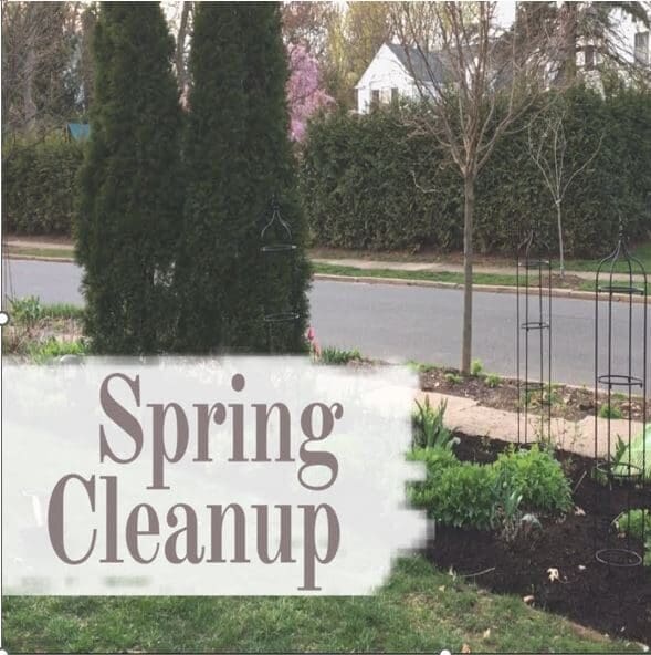 Spring Clean Up E1715226567796